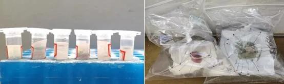 病理报告为什么不能打印,病理报告打开不了是怎么回事