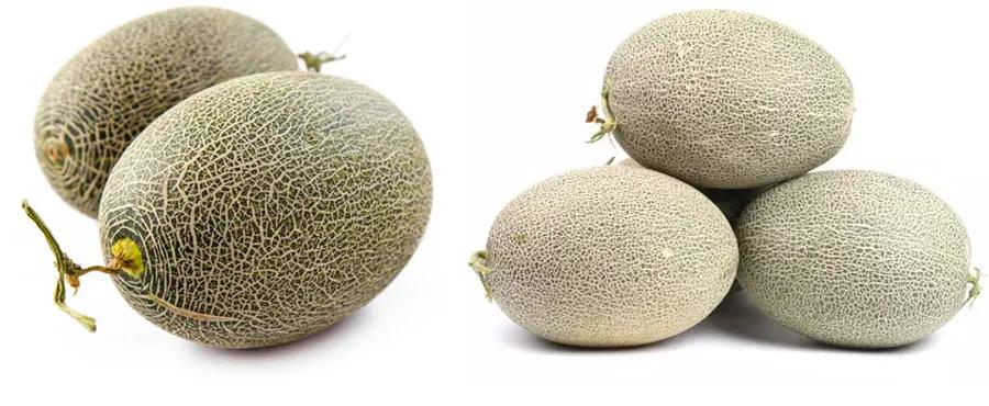 油画棒教程简单初学者儿童画,儿童油画棒画基础教程水果