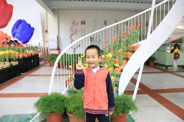 森林花海亲子游攻略,森林公园亲子游推荐