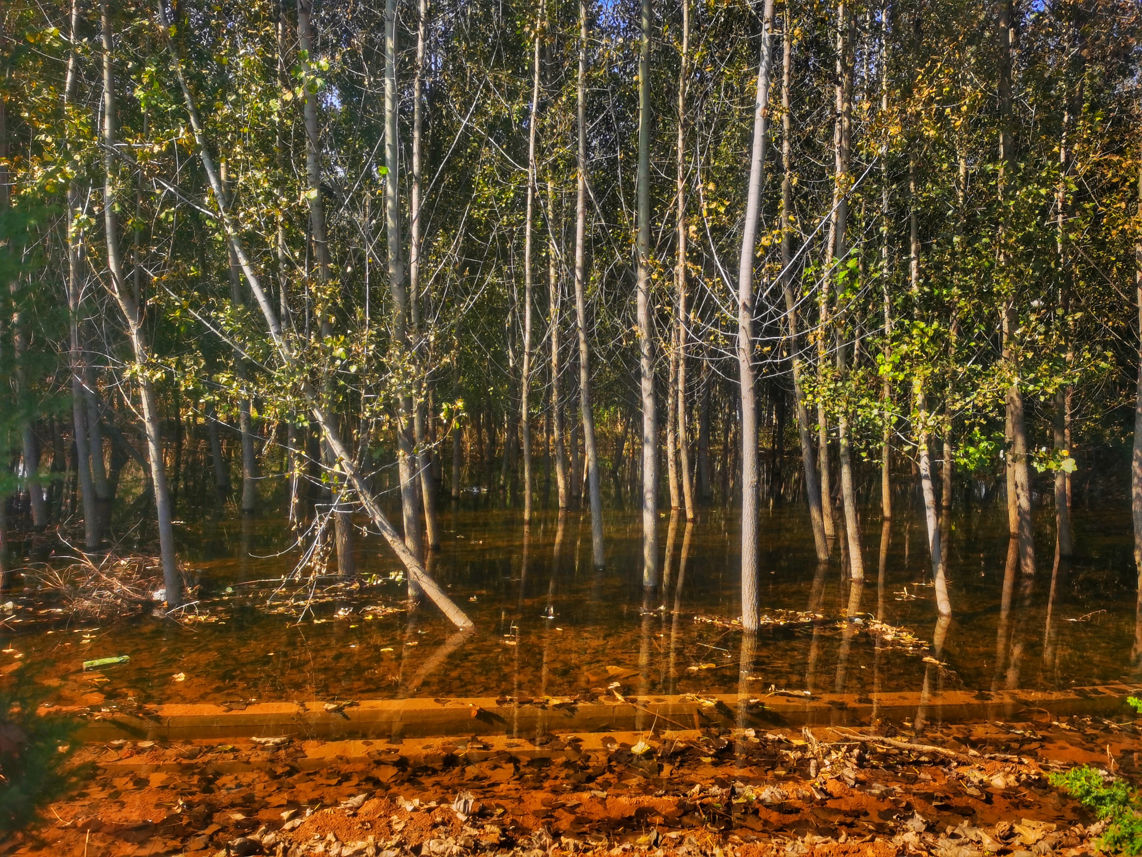 河北通勤车坠河救援进展,河北通勤车坠河事件