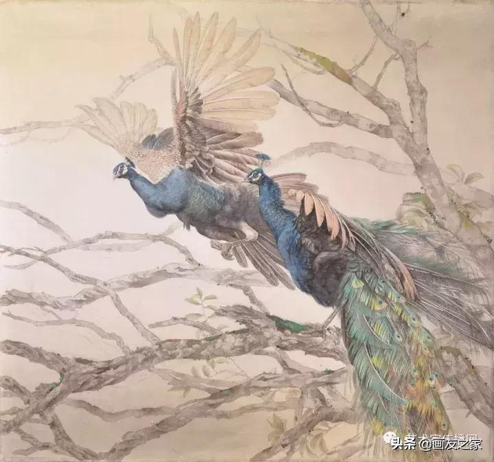 工笔孔雀上色步骤详解,工笔最顶级逼真孔雀画精品