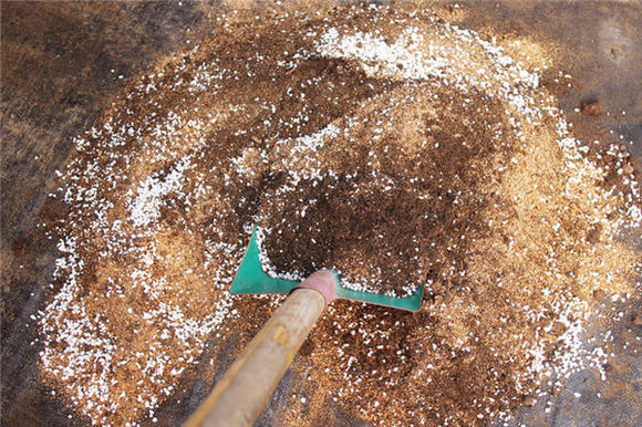 鑺辨埧濮戝澶氳倝閰嶅湡,鑺辨埧濮戝鐜夐湶澶氳倝