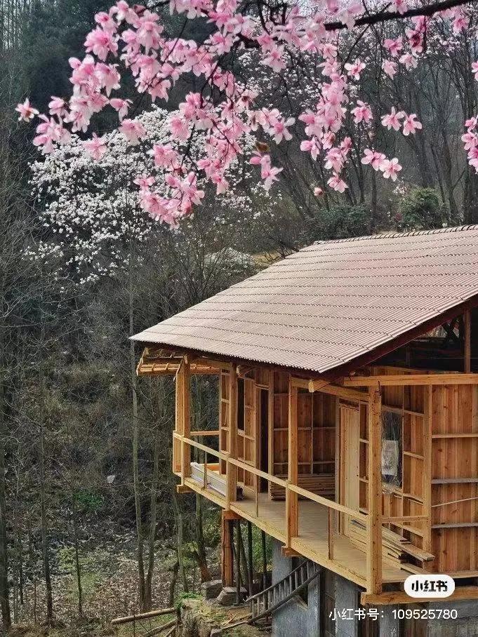 李子柒家乡成旅游景点,李子柒乡愁