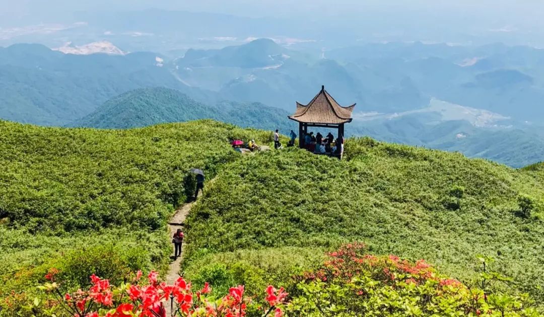 贺州八步区桂岭镇打卡景点,贺州网红景点排行榜