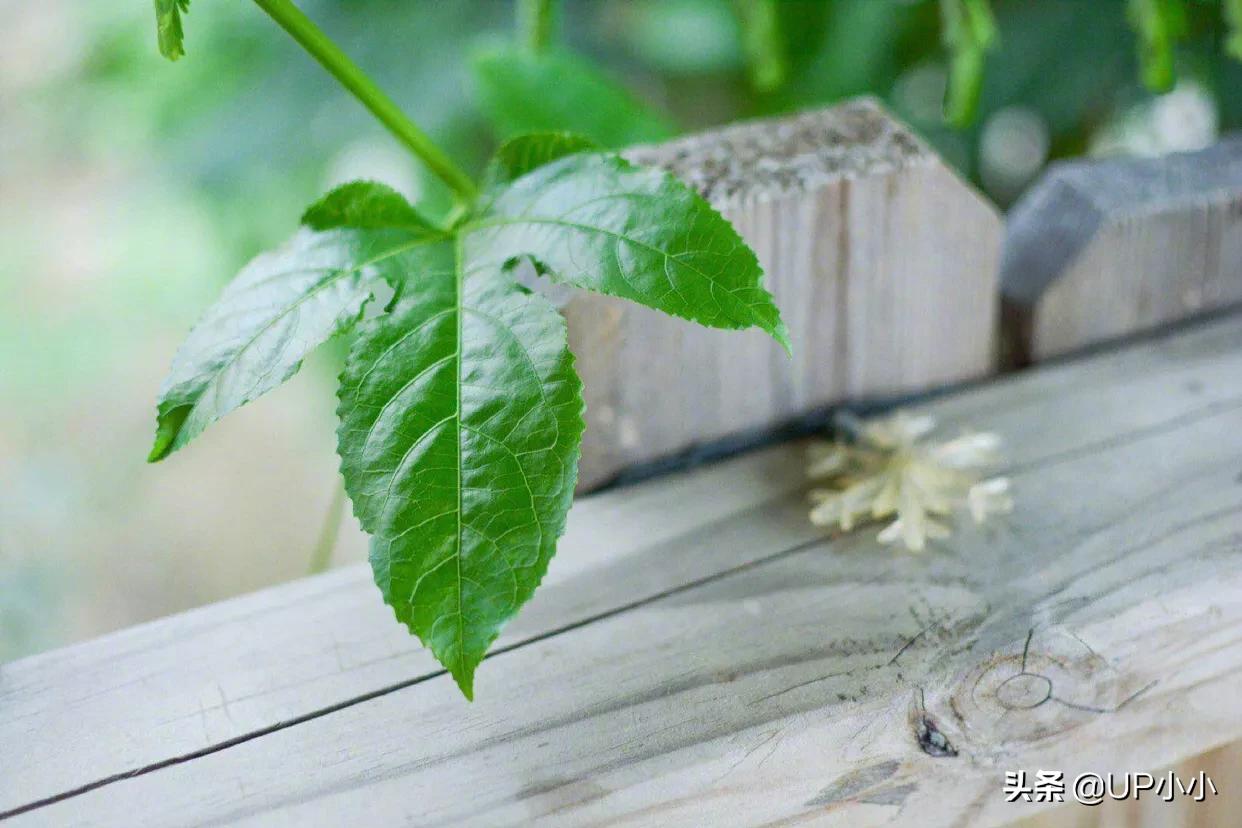 关于品牌思维助力产品和运营的思考