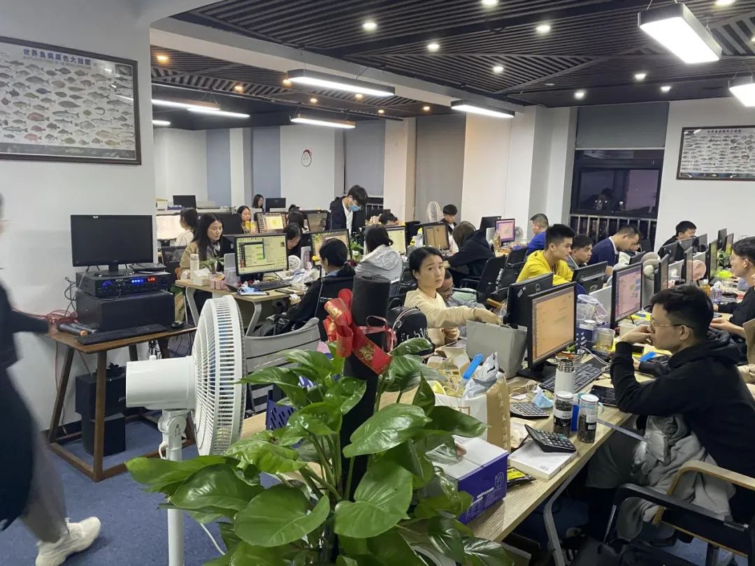 一家月入2000万的私域电商,私域电商月入10万的方法