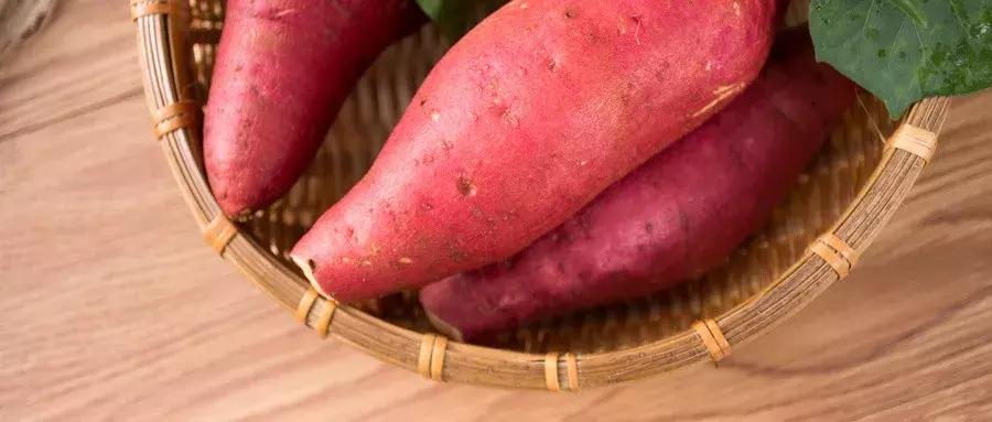 5万块钱能做什么生意赚钱,5万元闲钱做什么投资最好