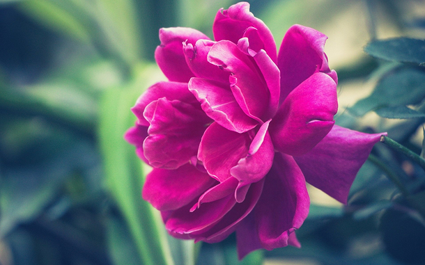 带钰字的女孩名字排名最高,带有钰字的女孩名字大全