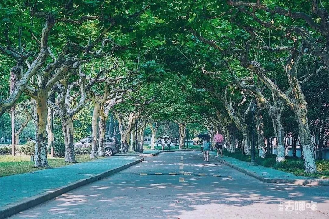 上海一日游古镇最佳路线免费景点,上海晚上十大必去免费景点