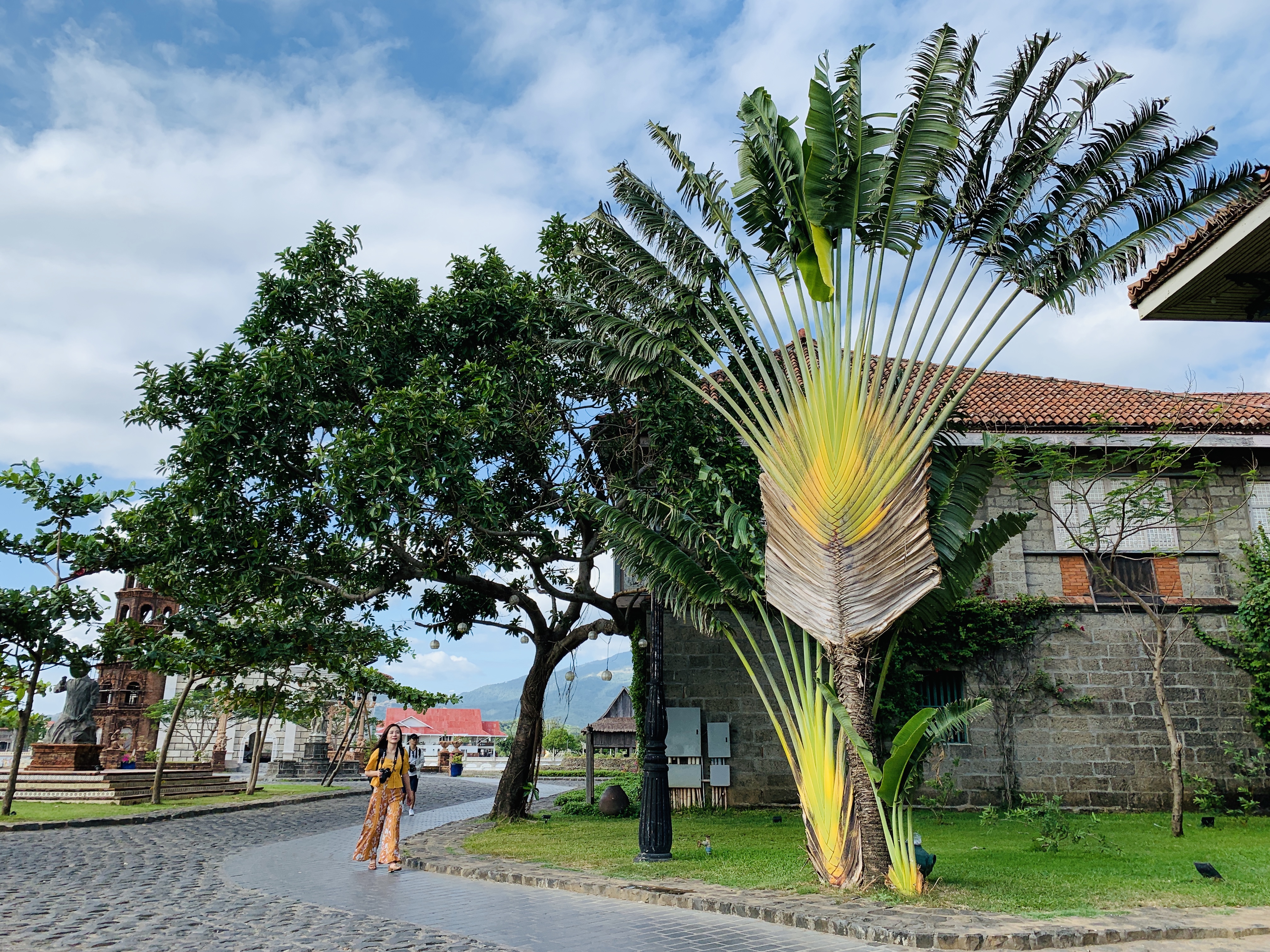 永远难忘的2015年菲律宾之旅,菲律宾之旅19年10月