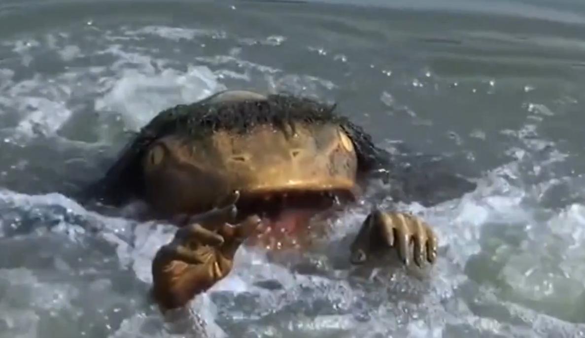 传说中的“水鬼”竟然被抓住,看到水鬼的面目,网友:长见识了