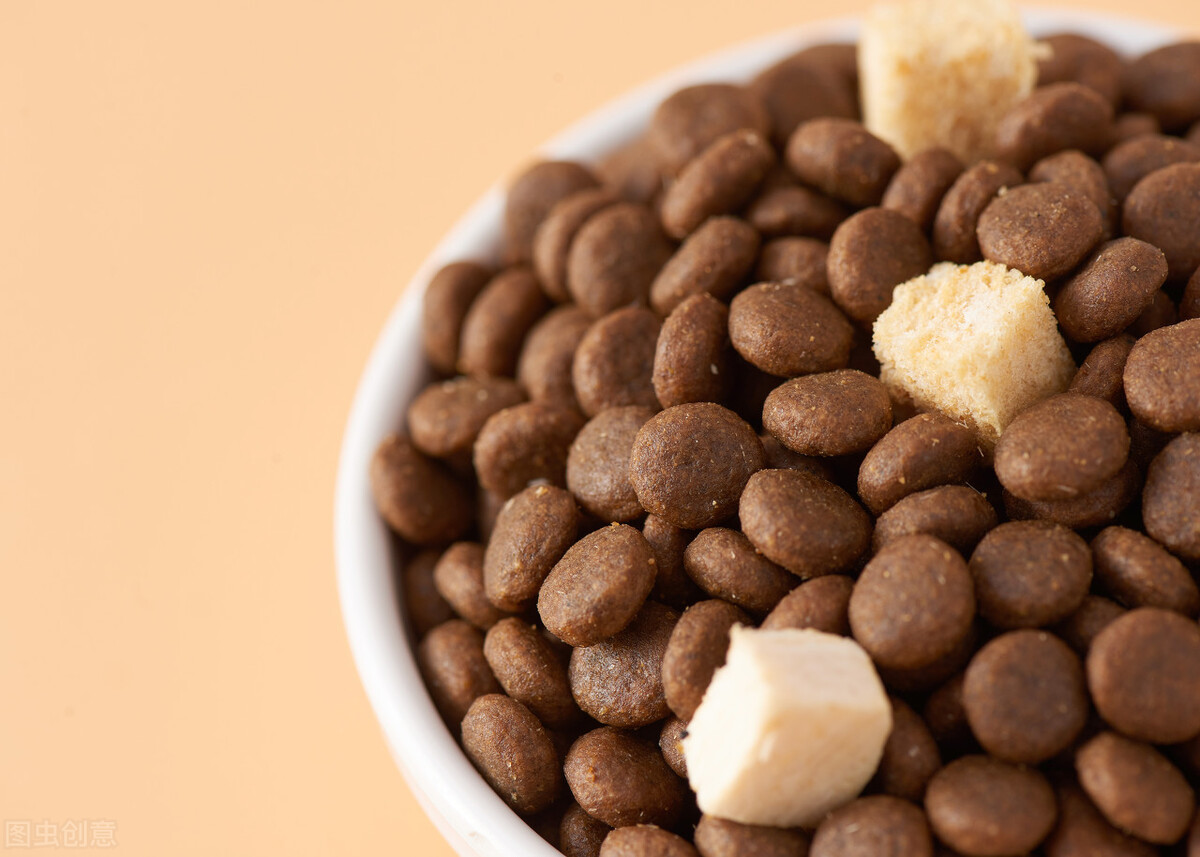 新西兰专业猫粮进口报关常见问题,进口猫粮狗粮清关