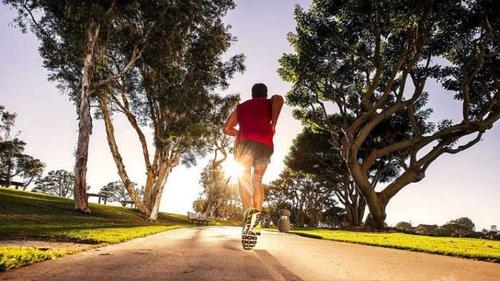 高三高考优秀作文800字5篇,高三优秀作文通用15篇