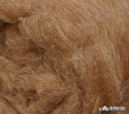 50种面料知识服装人必看建议收藏,50种面料知识服装人必看收藏贴