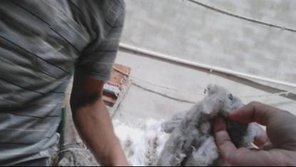 高阳之殇,直播带货问题需引起重视