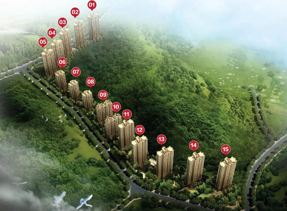 大华锦绣华城房价9期,大华锦绣华城9期99平三室