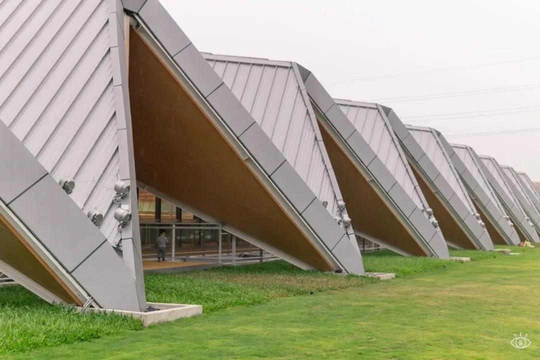 深圳免费景点好玩排名,深圳这些新公园免费玩