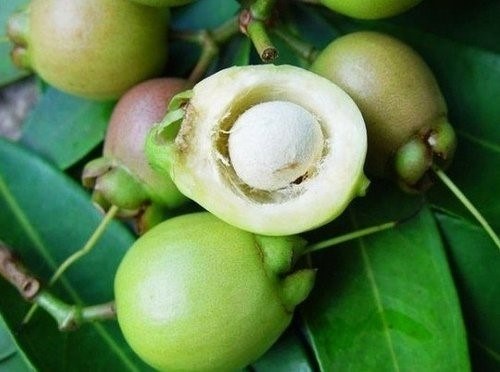 1分钟挑战认出10种罕见水果,5种难得一见的稀有水果