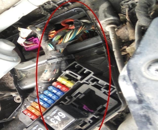 奥迪a6l停了一夜很难打着火,奥迪a6l停了一天刹车踩不下去