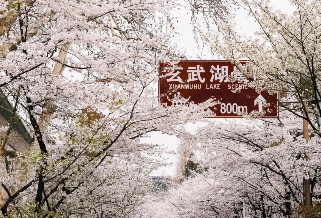 疫情防控取得阶段性胜利有序恢复,疫情胜利在望