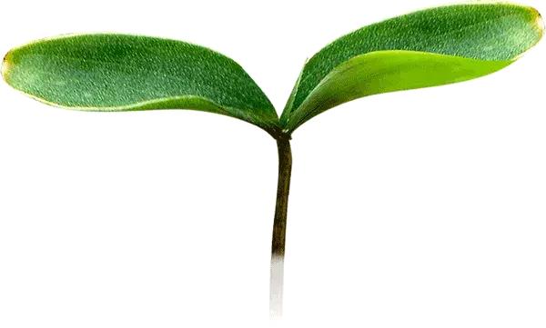 微信购物抽奖骗局怎么退款,微信下单抽奖骗局怎么反诈骗