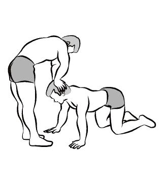 从小白到健身达人十大步骤,从健身小白到健身达人励志