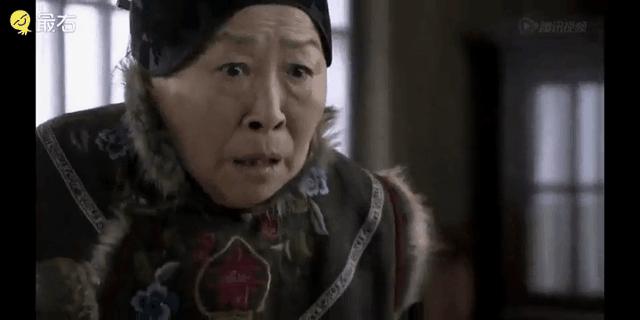 仓鼠要注意什么饮食,仓鼠饲养吃啥好养活一点