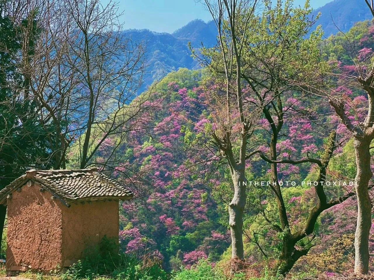 西安小众旅游,西安周边旅游3-4天攻略最佳线路