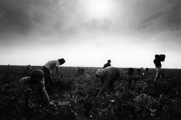 犹太人的12个黄金思维法则,犹太人赚钱智慧的核心是什么