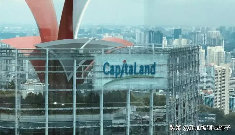 新加坡前十公司,新加坡十大公司排行榜