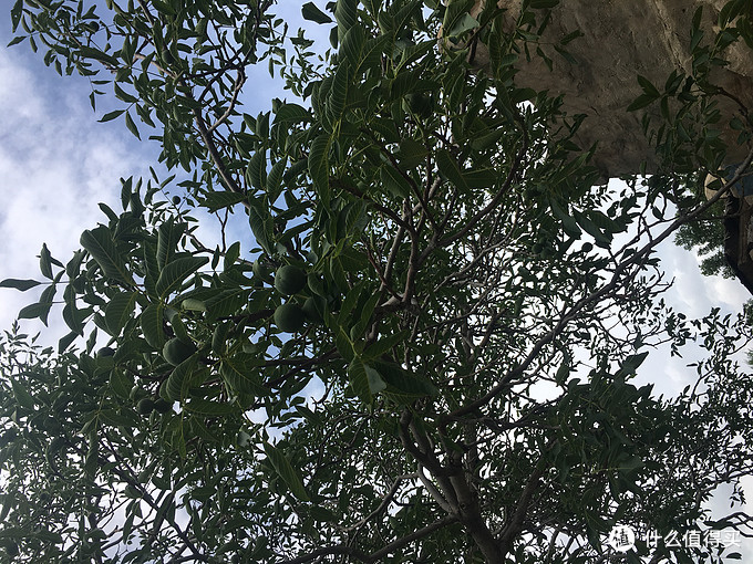 带孩子看世界篇二十二：2019暑假游（2）---大美宁夏