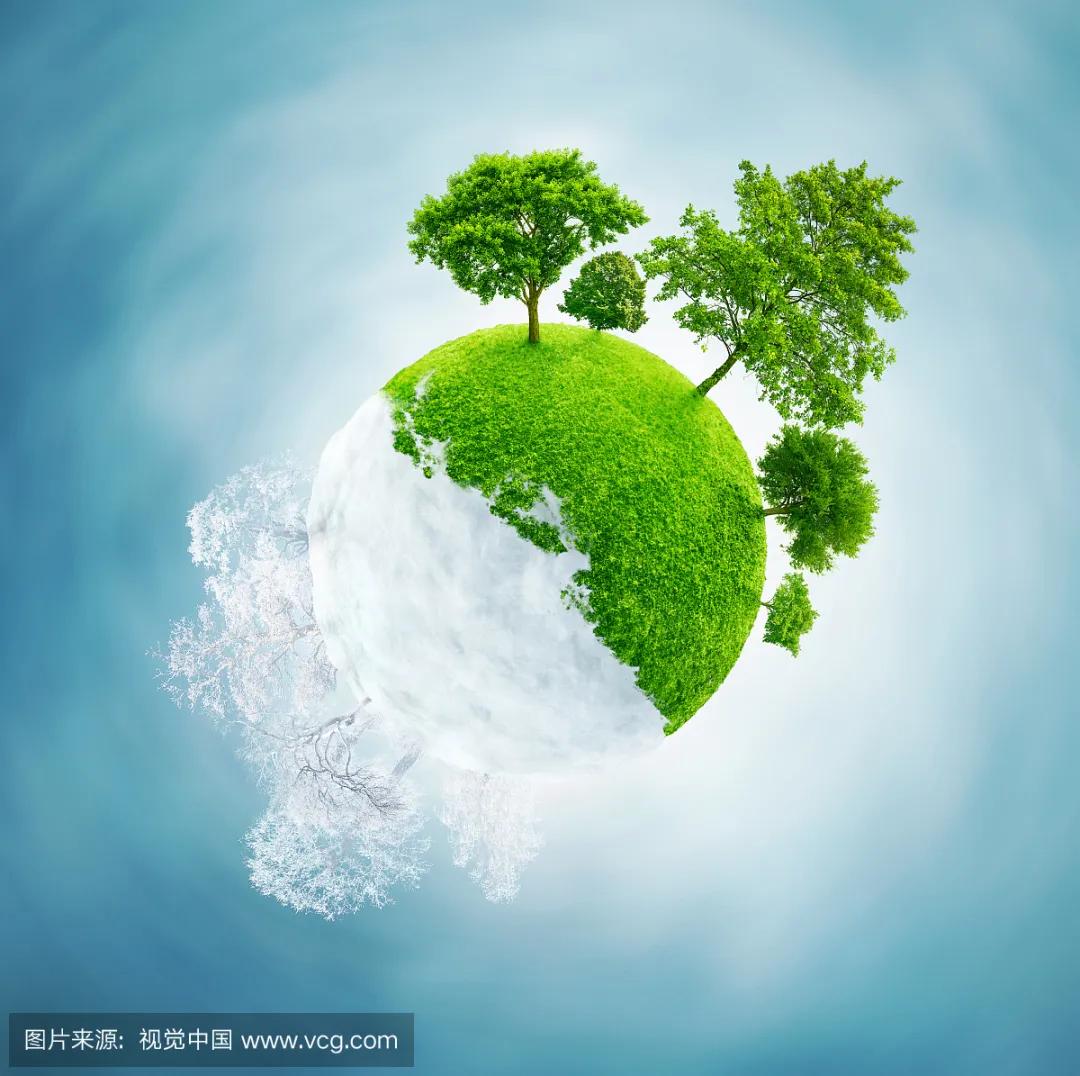 贾平凹的生命感悟,贾平凹文学最基本的东西是什么