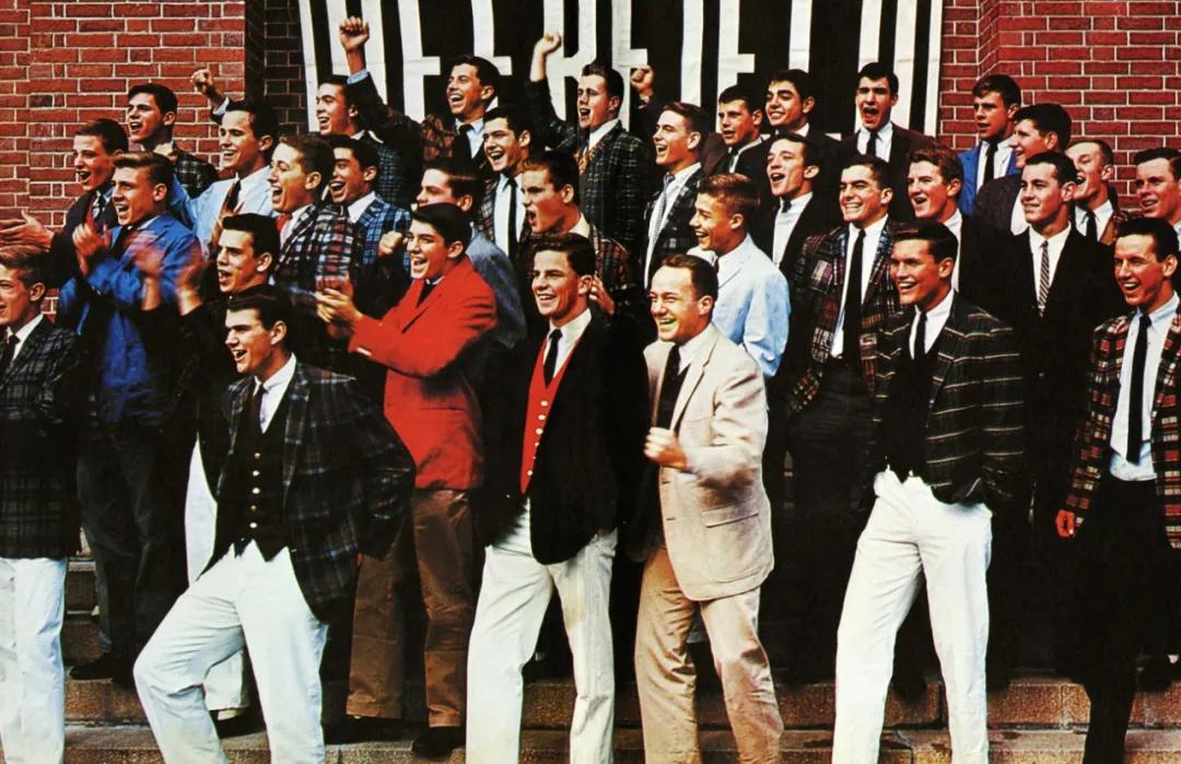 夏日裤装新选择,夏季必入款裤装