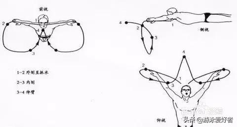 蛙泳难游还是不好游,蛙泳踩水蛙泳换气吐气技巧视频