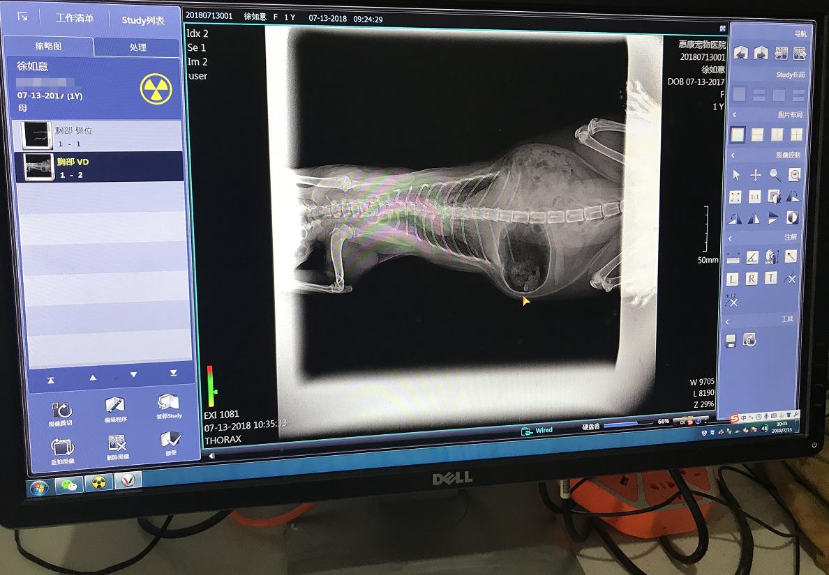 南宁二十四小时宠物医院,南宁宠物医院24小时急诊多少钱