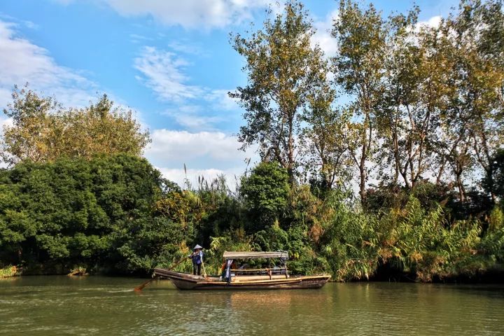 游走在沙家浜湿地公园,沙家浜风景区湿地渔乐园