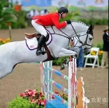 十四运马术室内场馆面积,十四运马术场馆