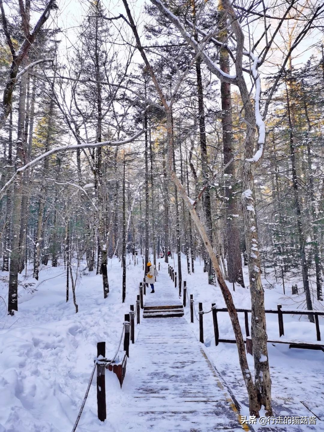 长白山天池猴子泡温泉 (长白山冬天看天池)