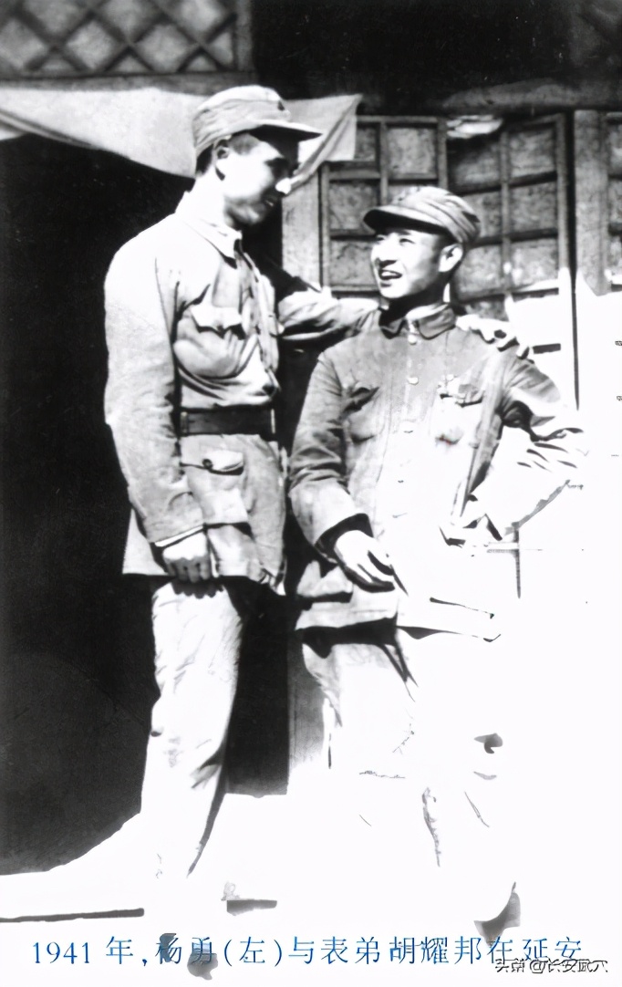 杨勇铁骨柔情完整视频,杨勇英雄事迹