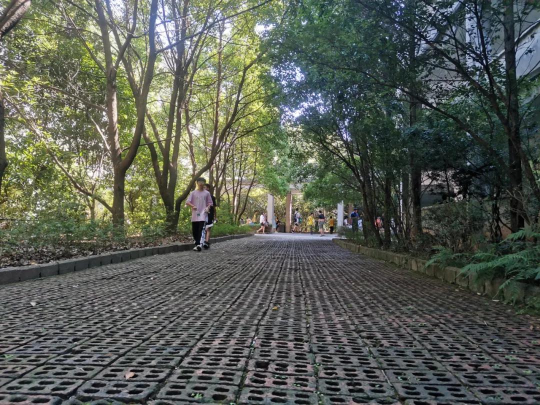 耒阳市正源学校开学时间,耒阳市正源中学曹思