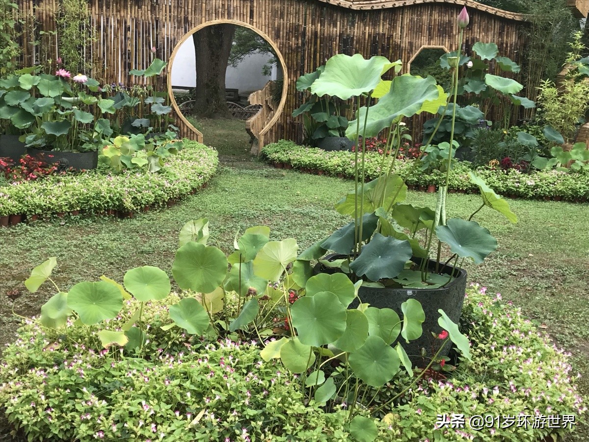 苏州拙政园园林借景,苏州最贵的园林在拙政园旁边