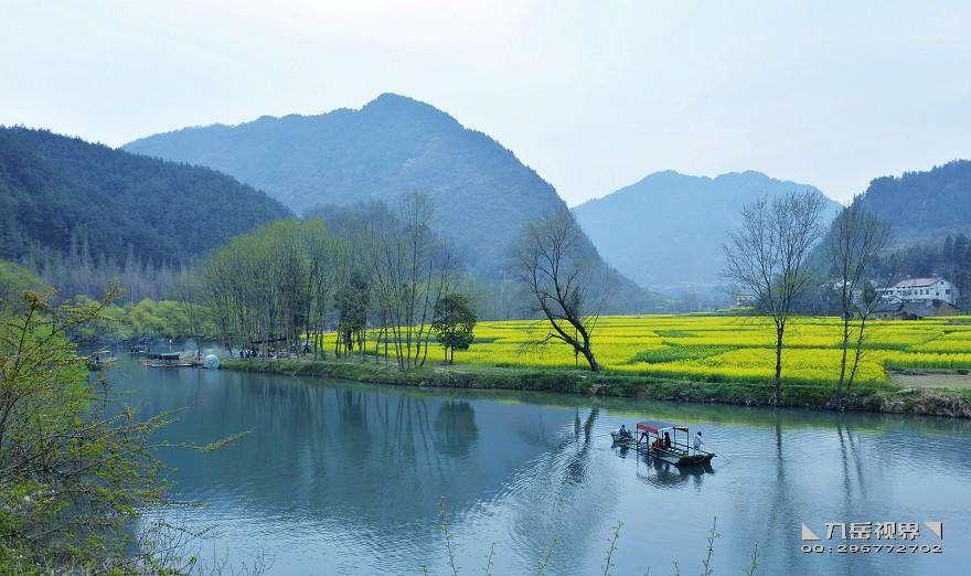 汉中面皮巨头,汉中邓惠民面皮