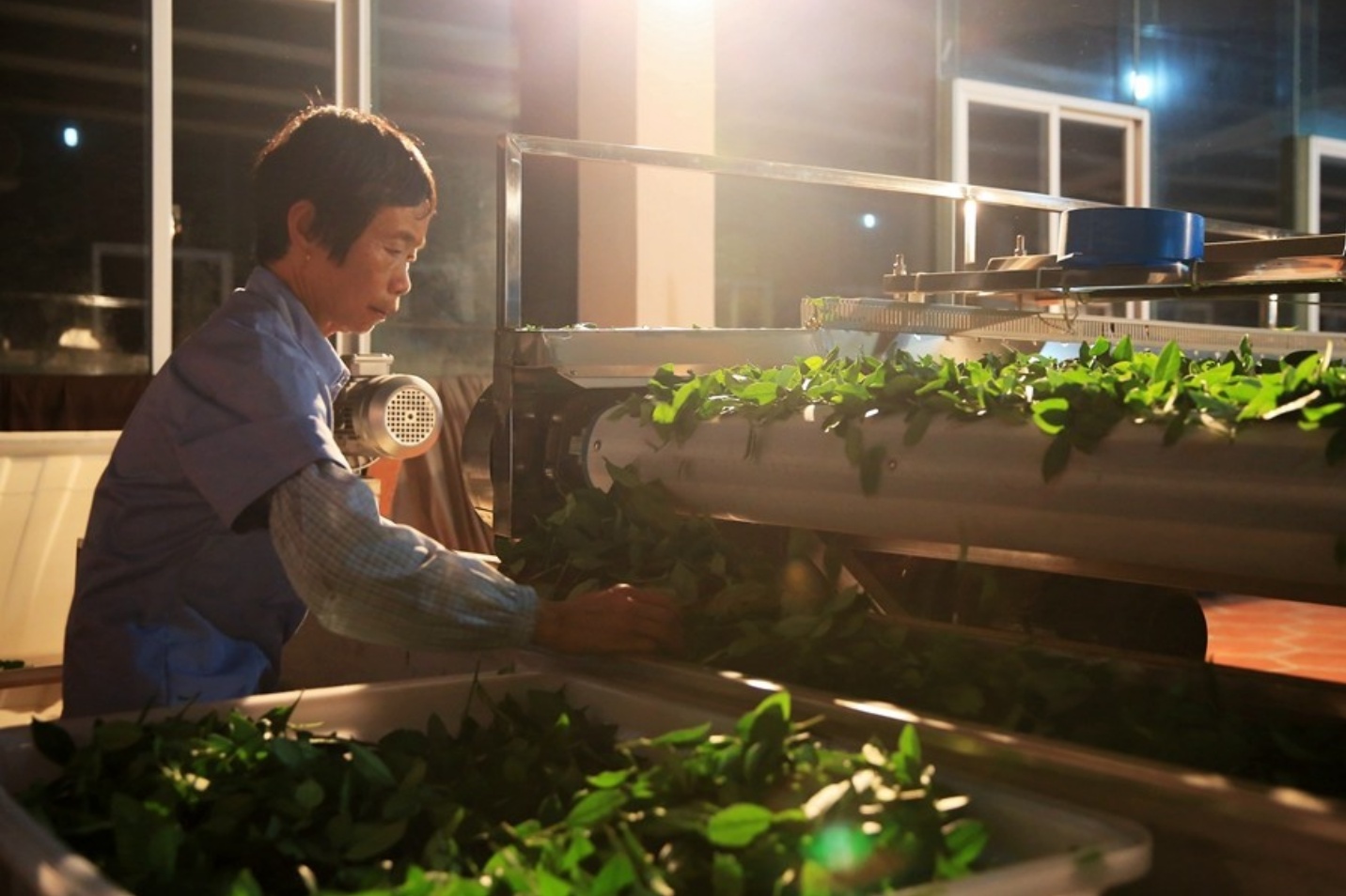 无与伦比的兰花香，低迷的铁观音，茶叶王国里铁观音的兴衰成败