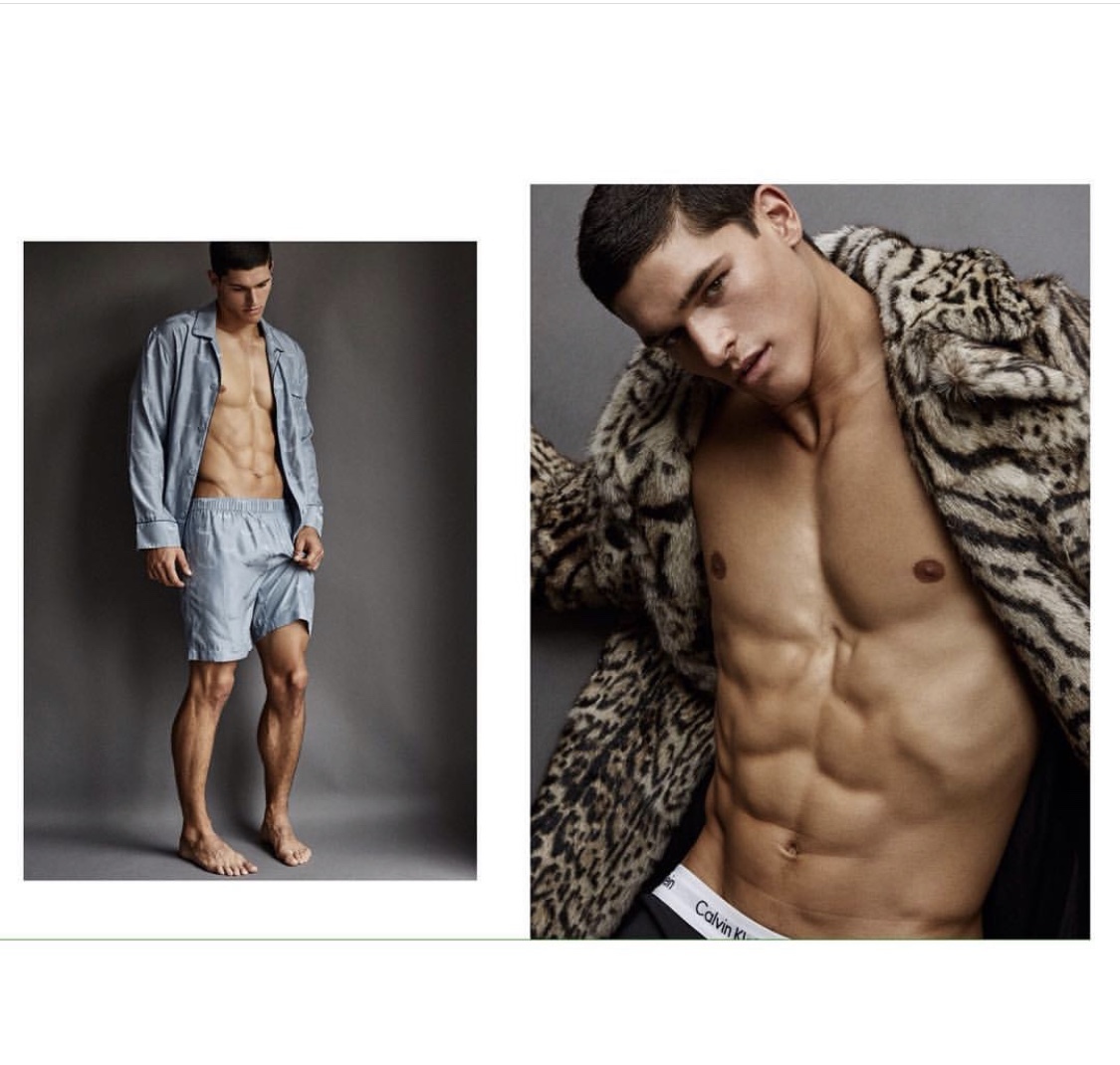 完成学业重新复出，黄金比例的小狼男模狗能否通过时尚的重新洗牌