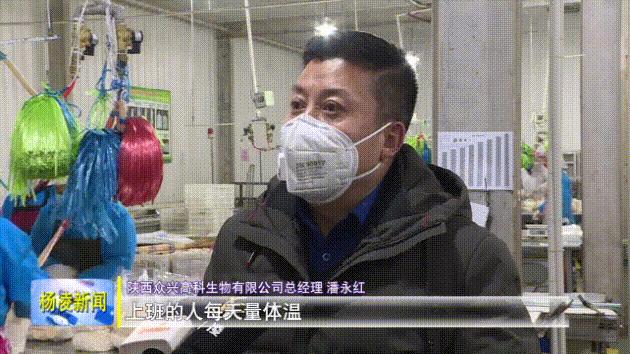 杨凌：农资农业恢复生产，生产一线也是战疫前线