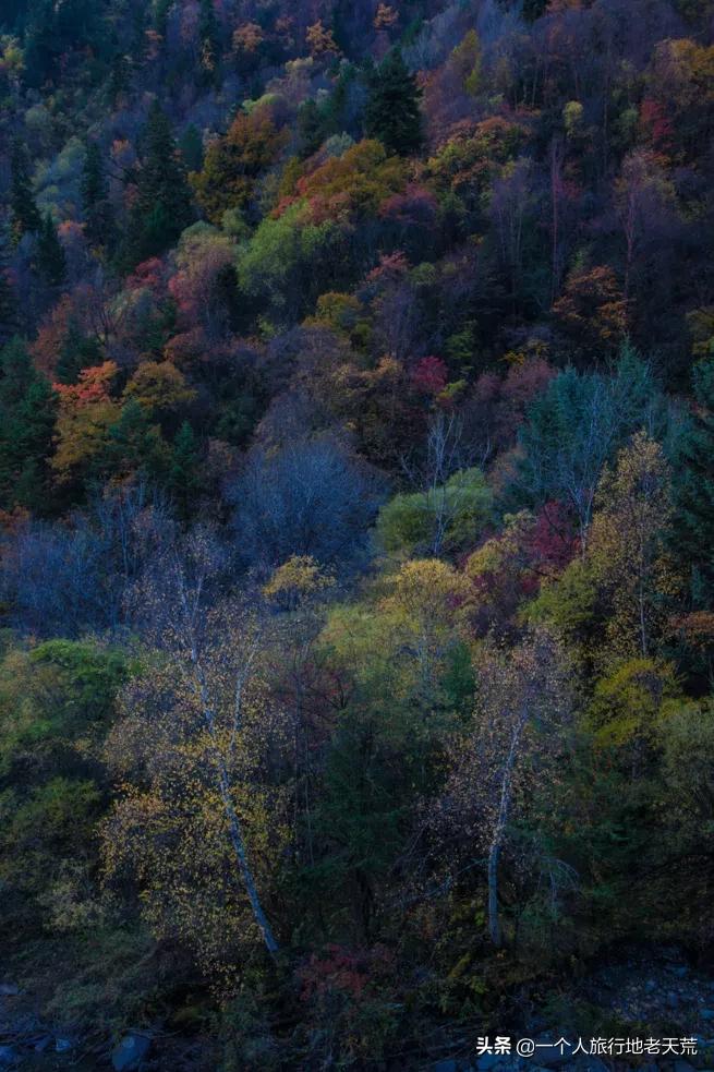国庆旅游宝藏景点,还有哪些宝藏小众旅游地