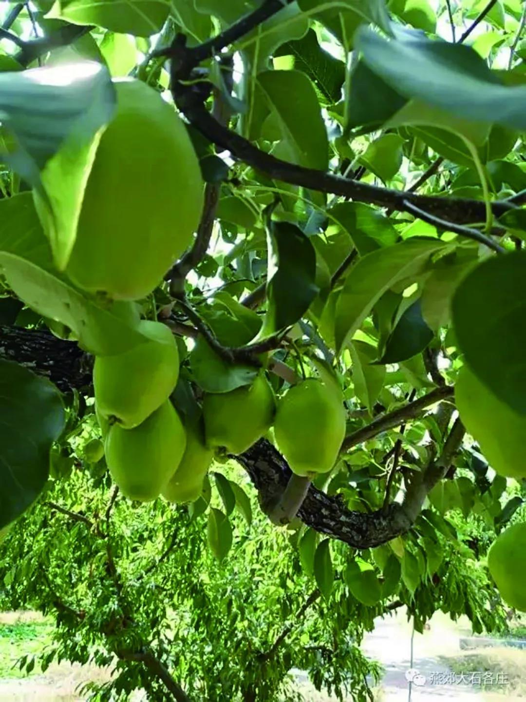 沈阳10月新闻,2018年12月11日沈阳新闻