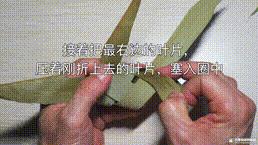剩下的粽叶怎么做,剩下的粽叶如何收藏