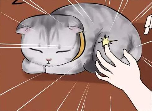 「原创」月份高频词“太干了”,同意请举手