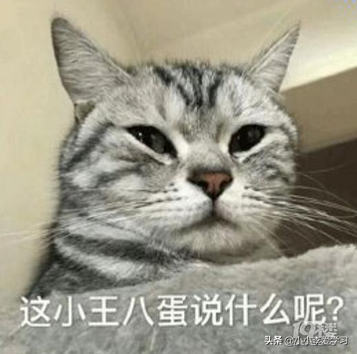 如何用德语骂对方,怎么用德语嘲讽